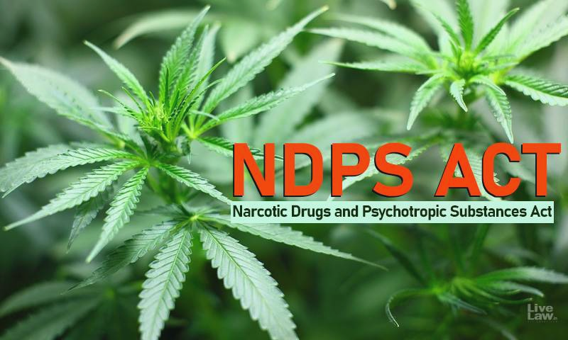 शिमला में नशा तस्करों पर कार्रवाई, युवती सहित आठ गिरफ्तार