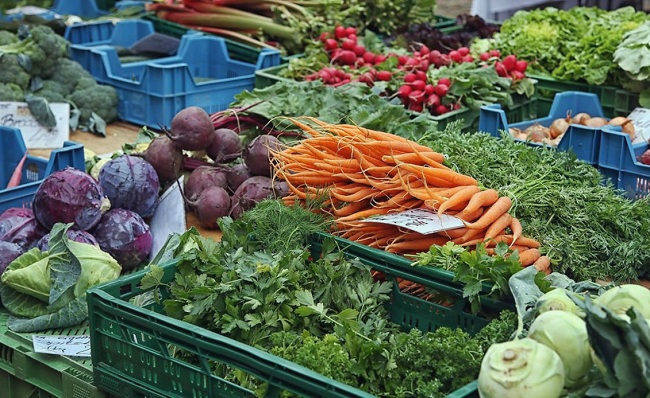 रायसेन में आज प्रभारी मंत्री करेंगे जैविक हाट बाजार का शुभारंभ