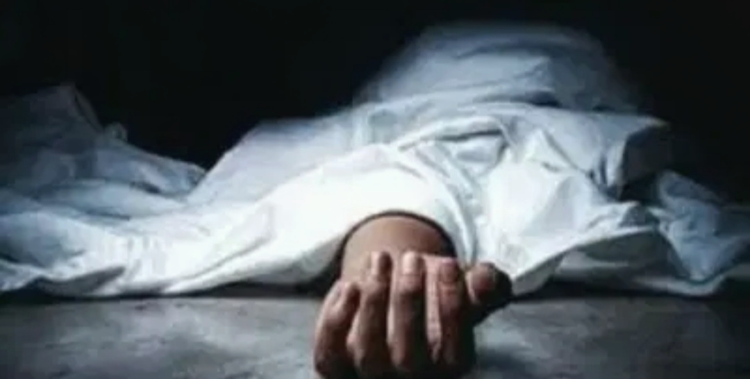 wild-elephants-killed