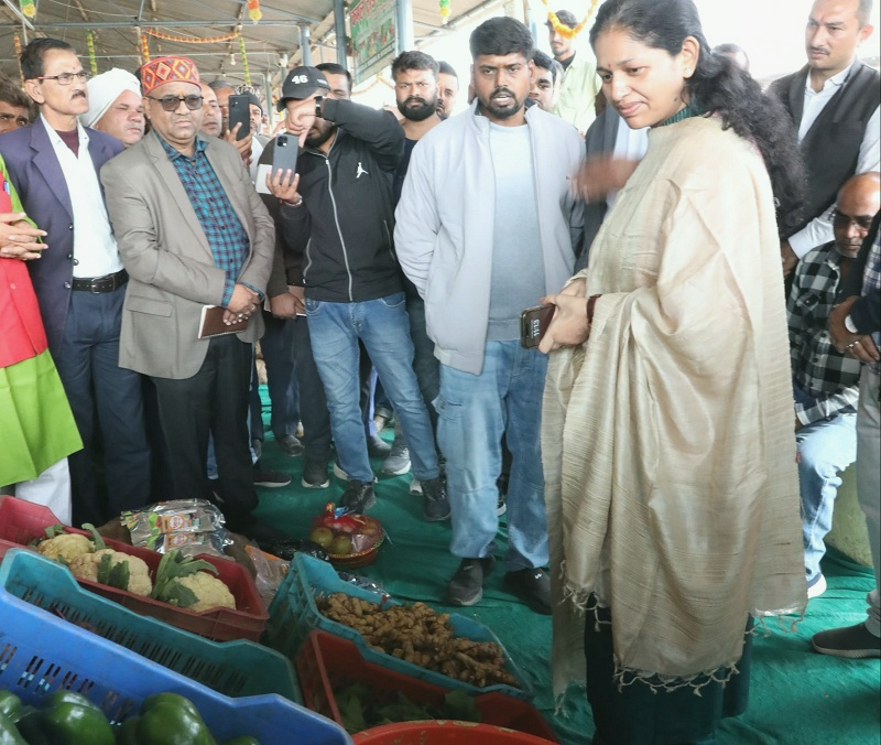 rewa-collector-inaugurated-the-organic-market-in-k