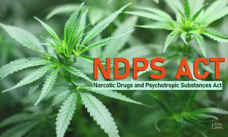 शिमला में चिट्टा बरामद, आरोपी तस्कर गिरफ्तार